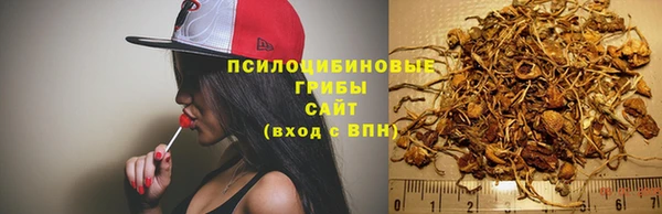 ПСИЛОЦИБИНОВЫЕ ГРИБЫ Володарск