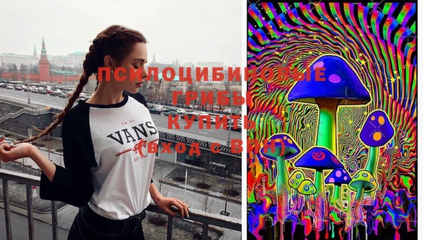 ПСИЛОЦИБИНОВЫЕ ГРИБЫ Володарск