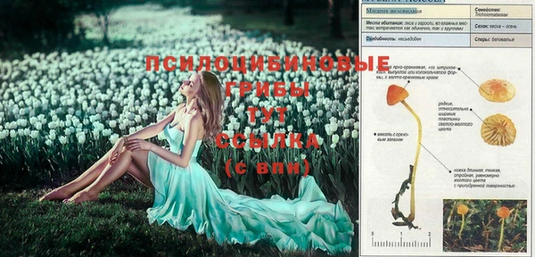 метамфетамин Волосово